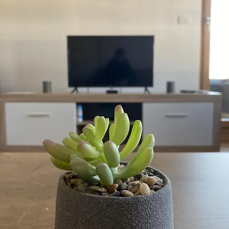 Wellport Bp Apartment